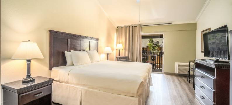 皇冠城堡酒店(Kronborg Inn)图片