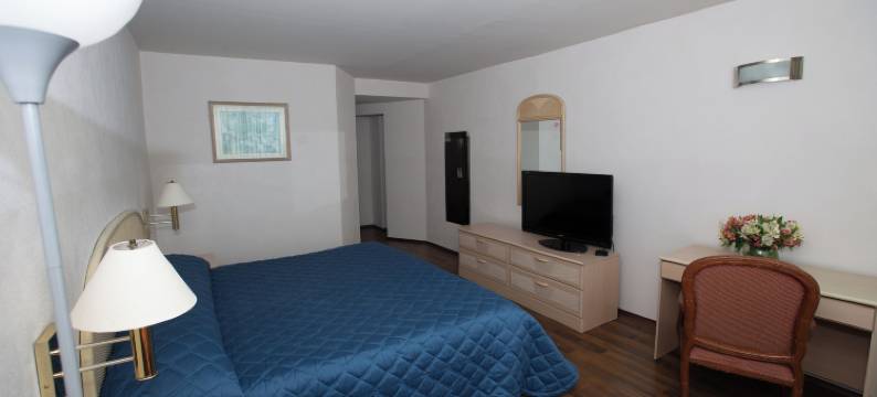 旧金山酒店(Hotel San Francisco)图片