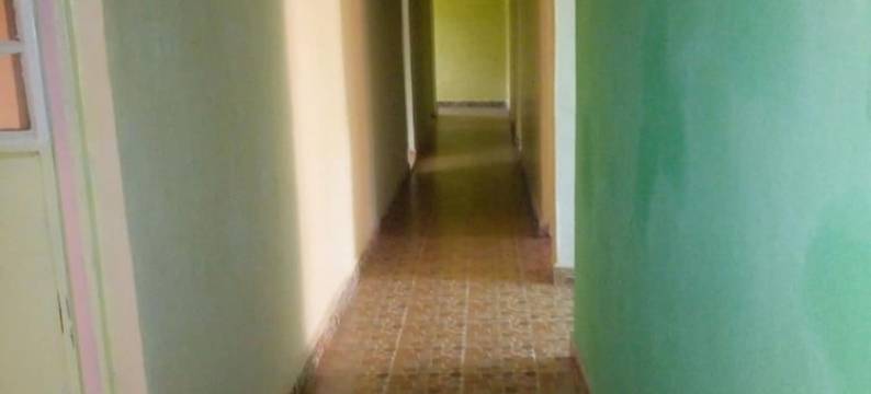 Peacock Restaurant图片