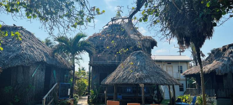 戴尔里奥酒店(Hotel Del Rio)图片