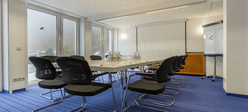 米歇尔卡罗利瓦尔德基兴酒店(Michel Hotel Karoli Waldkirchen)图片