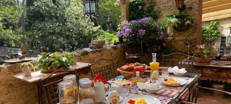 Mimosa农场(Masia Mimosa Completa)图片