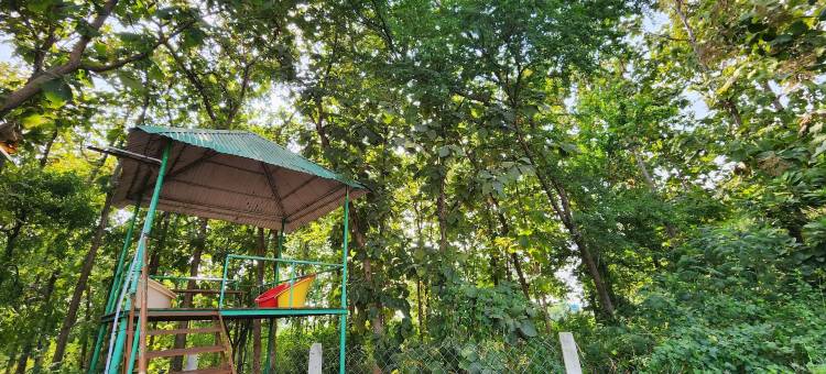 柚木农场(Teakwood Farms)图片