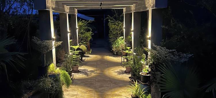 荒野丛林营地(Wilderness Jungle Camp)图片