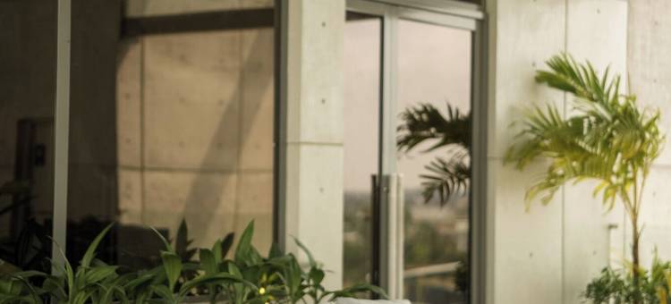 瑟莎雅旅舍 | 科伦坡餐吧(SeSaya Poshtel & Bistro - Colombo's Newest and Finest Poshtel Dorms and Rooms)图片