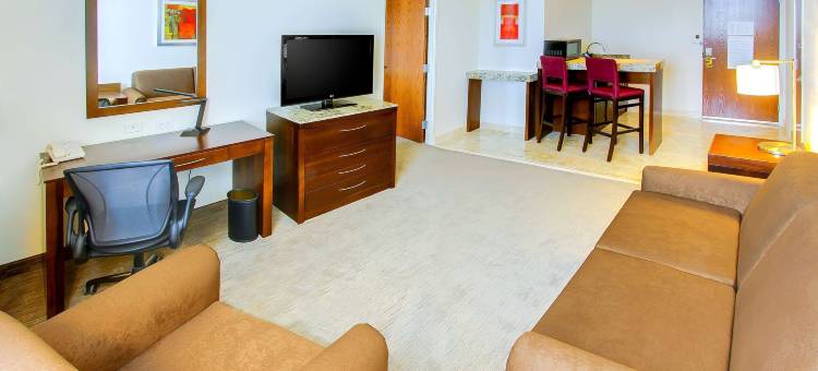 奎雷塔罗希尔顿花园酒店(Hilton Garden Inn Queretaro)图片