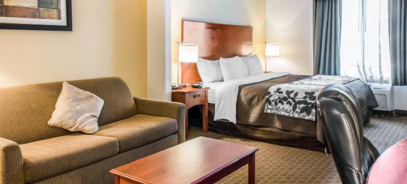 舒眠套房酒店(Sleep Inn & Suites)图片