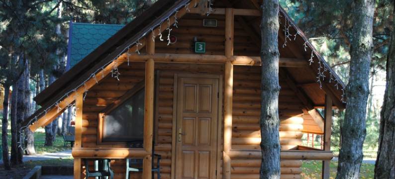 埃尔基派启奥塔卡综合酒店(Kompleks Otdykha Elki-Palki)图片