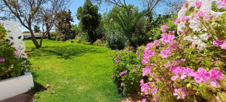 蒙特塞拉赫拉公寓酒店 - 农场旅游(Monte Da Serralheira Agro Turismo)图片