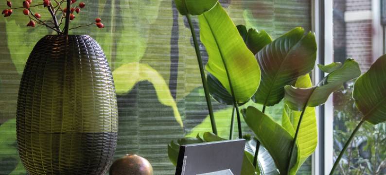 Koppelpaarden酒店(Hotel de Koppelpaarden)图片