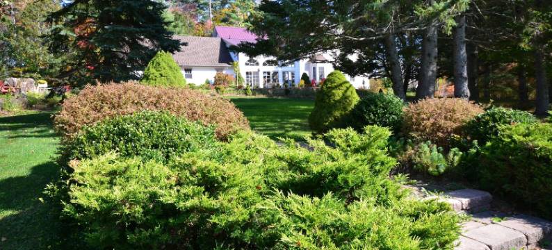 石南木住宿加早餐旅馆(Briarwood Bed & Breakfast)图片