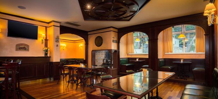 巴克斯酒店(Hotel Villa Bacchus)图片