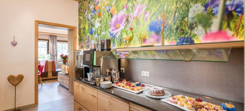 坦尼霍福酒店(Hotel Tannenhof)图片