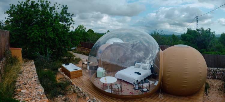 卡利格之夜(Noches de Calig)图片