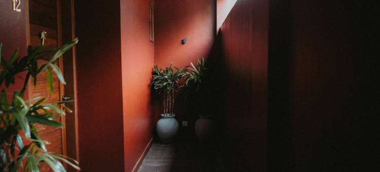 波特酒店-冲浪与瑜伽静修(Porter Hotel - Surf & Yoga Retreat)图片