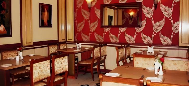 巴亚伟国际酒店(Pallavi International Hotel)图片