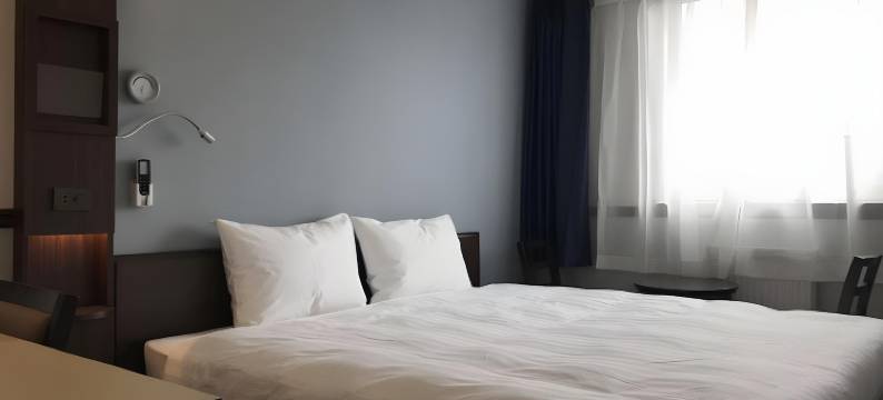 乌兰巴托东横 INN(Toyoko Inn Ulaanbaatar)图片