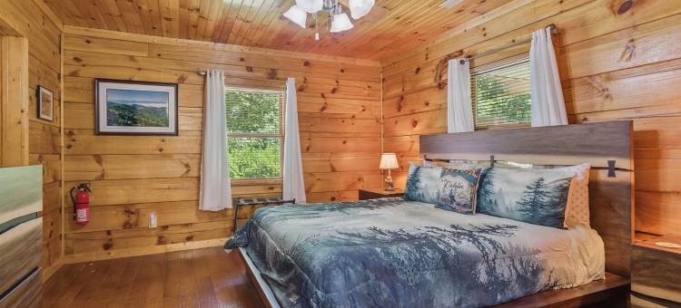 舒适的小屋，带电动车充电器、火坑和床秋千(Chasing Cubs Cabin by Beyond Expectations)图片