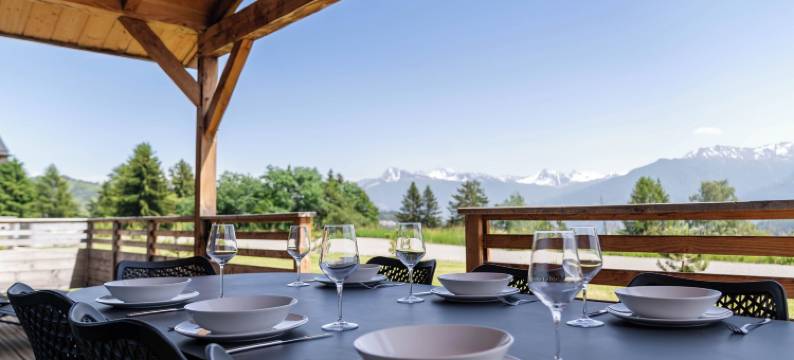 林地村(Woodland Village Anzère)图片