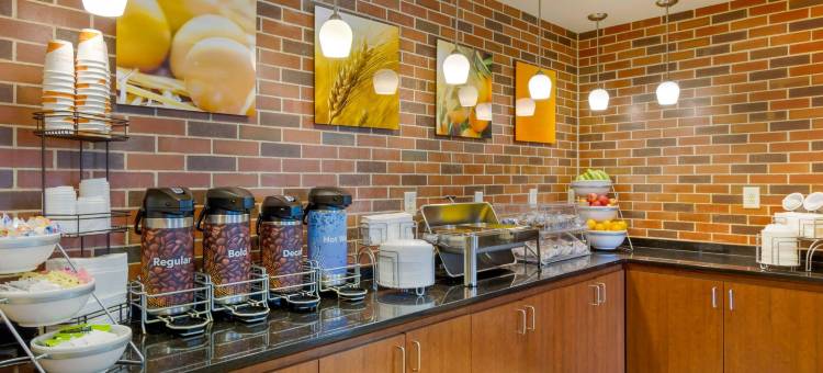 查尔斯顿西阿什利舒适套房酒店(Comfort Suites Charleston West Ashley)图片