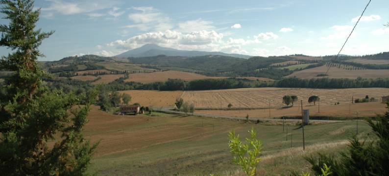 Authentic pool house图片