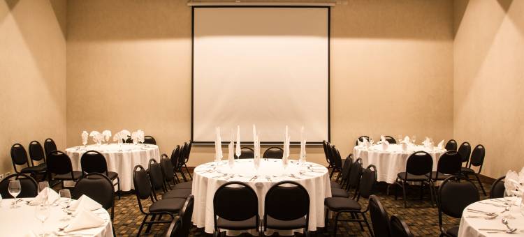 中央机场广场嘉年华酒店(Fiesta Inn Plaza Central Aeropuerto)图片