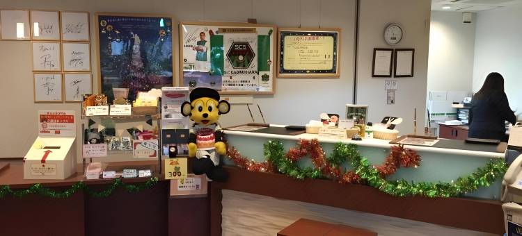 帕拉迪斯酒店-相摸原(Paradis-inn　Sagaminara)图片