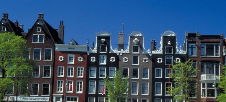 宜必思阿姆斯特丹市西部酒店(Ibis Amsterdam City West)图片