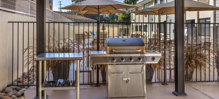 城市贝斯特韦斯特酒店(Best Western Town  Country Lodge)图片