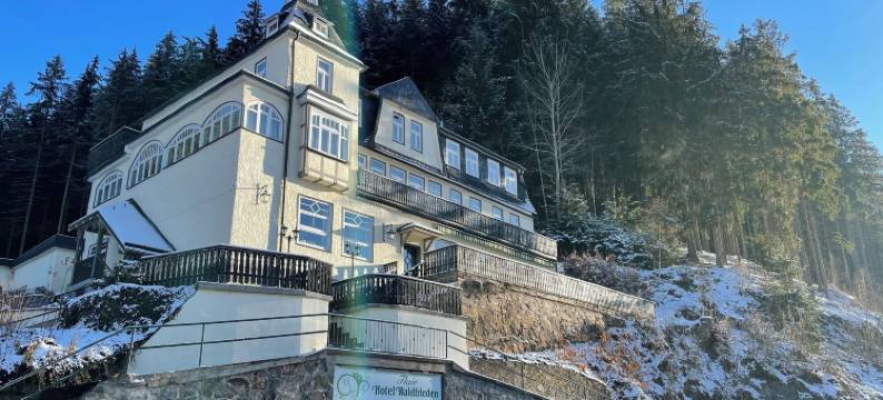 沃尔德弗雷德弗莱尔酒店(Flair-Hotel Waldfrieden)图片