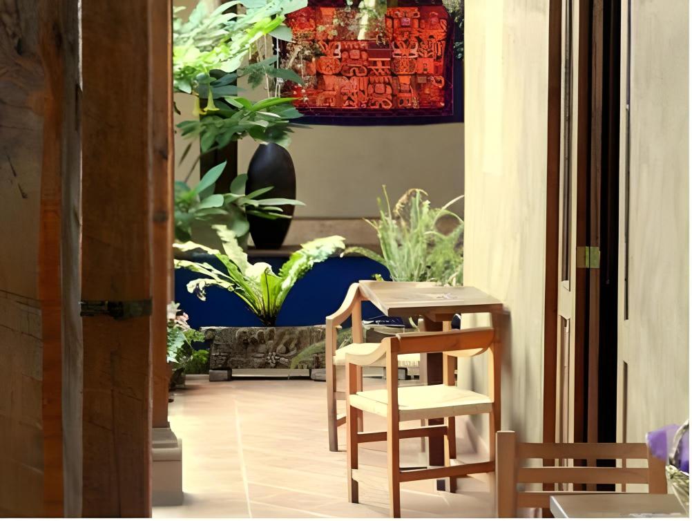 Posada Yolihuani Over view