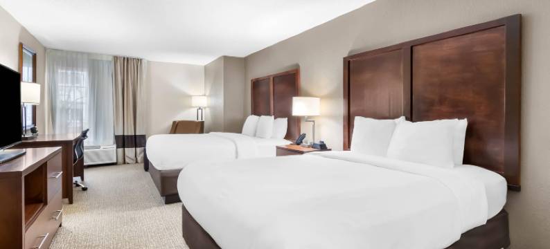 舒适套房酒店(Comfort Suites)图片