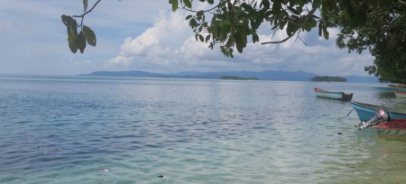 扎鲁酒店(Zaru Hotel)图片