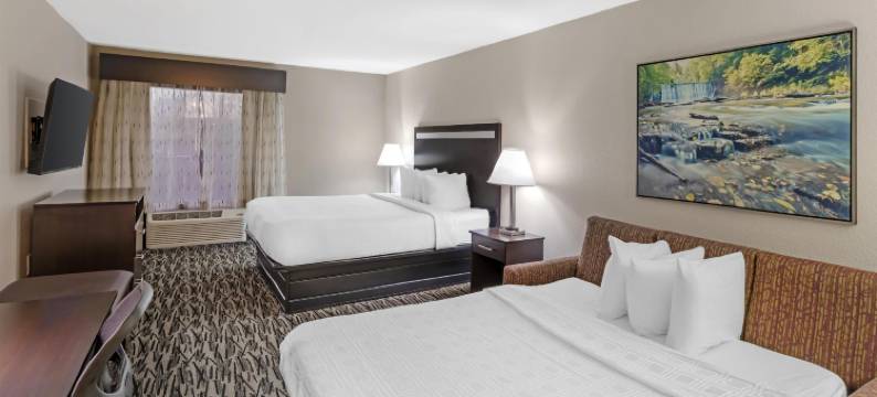 麦克多诺贝斯特韦斯特优质酒店及套房(Best Western Plus McDonough Inn  Suites)图片