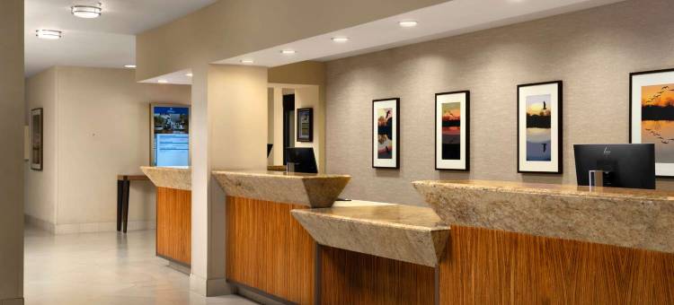 斯托克顿希尔顿酒店(Hilton Stockton)图片