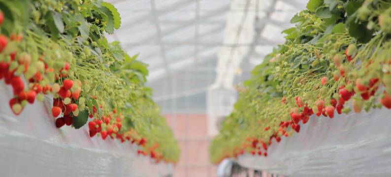 布莱维德利酒店(Hotel Bellevedere)图片