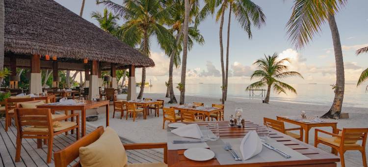 马尔代夫阿雅达度假村 - 至2026年9月30日连住7晚享2人免费接送(Ayada Maldives - (Complimentary domestic transfer for 2 adults on 7N+ stays till 30 Sep 2026))图片