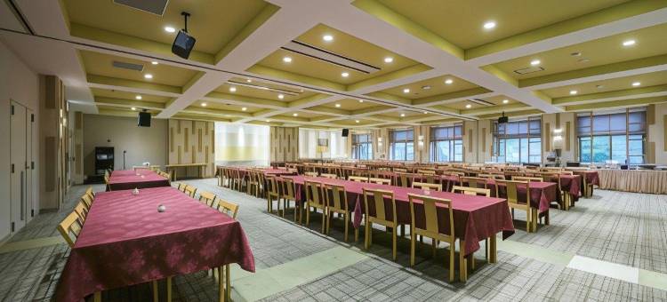 青云庄水疗度假酒店(Hotel Seiunso)图片