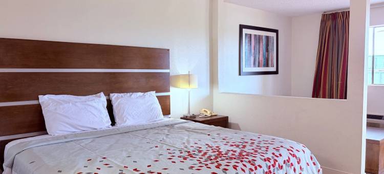 休斯顿 I 45 附近 IAH 的最佳经典旅馆及套房(Best Classic Inn)图片