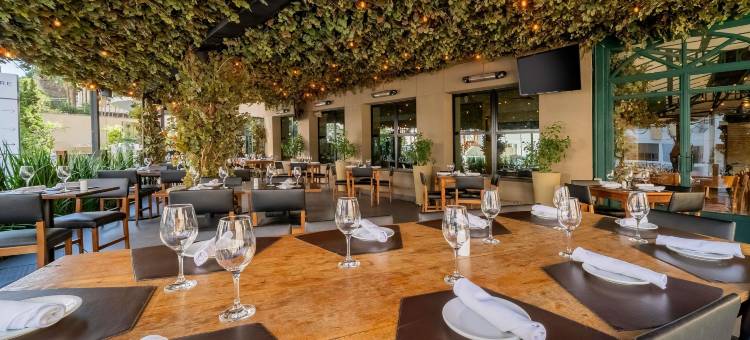 圣保罗伊比拉普埃拉特权美居酒店(Mercure Sao Paulo Ibirapuera Privilege)图片