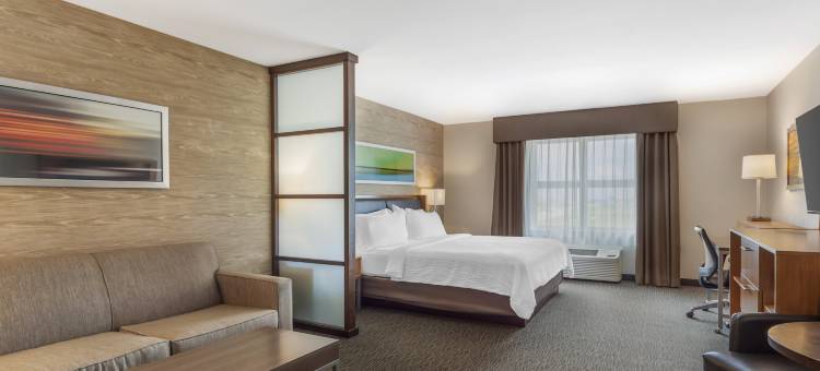 Holiday Inn & Suites 埃德蒙顿国际机场(Holiday Inn & Suites EDMONTON ARPT - CONFERENCE CTR by IHG)图片