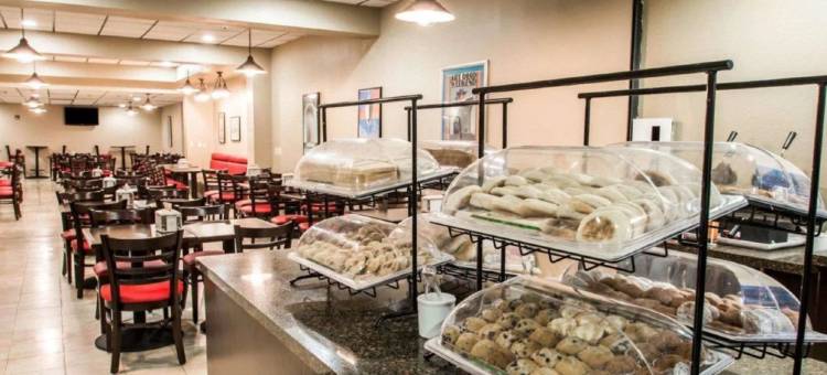 迈阿密国际机场克拉丽奥酒店及套房(Clarion Inn & Suites Miami International Airport)图片