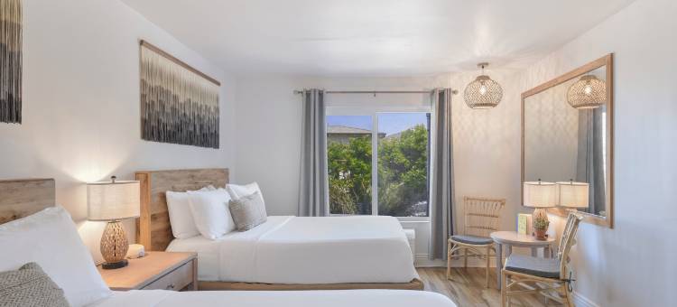 拉古娜冲浪旅馆由 SCP 酒店(Laguna Surf Lodge by Scp Hotels)图片