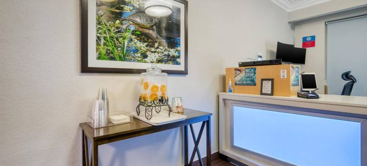 贝斯特韦斯特SureStay Plus酒店 the Villages(SureStay Plus Hotel by Best Western the Villages)图片