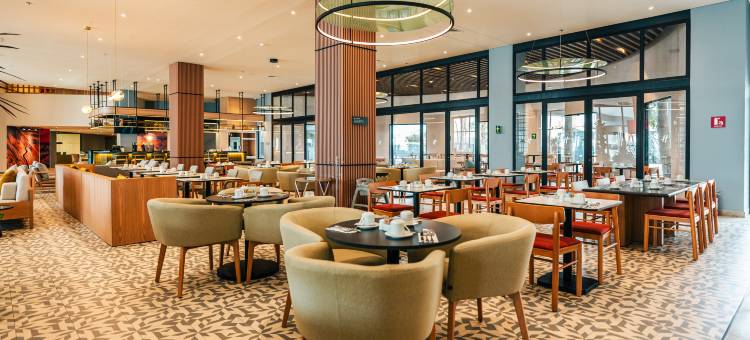 墨西卡利－市政中心智选假日酒店(Holiday Inn MEXICALI - CENTRO CÍVICO by IHG)图片
