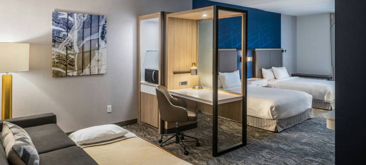 坎菲尔德春季山丘套房酒店(SpringHill Suites Canfield)图片