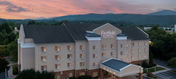 罗阿诺克霍林斯/I-81万枫酒店及套房(Fairfield Inn & Suites Roanoke Hollins/I-81)图片