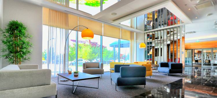 安卡拉因瑟克希尔顿逸林酒店(DoubleTree by Hilton Ankara Incek)图片