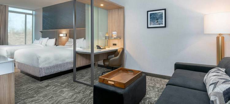 印第安纳波利斯韦斯特菲尔德SpringHill Suites酒店(SpringHill Suites Indianapolis Westfield)图片