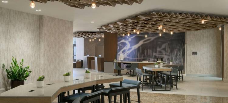 萨克拉门托兰乔科尔多瓦万豪酒店(Sacramento Marriott Rancho Cordova)图片
